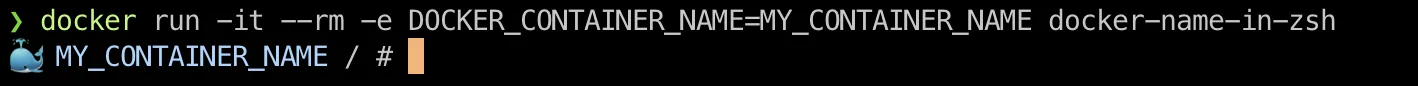 zsh shell with docker